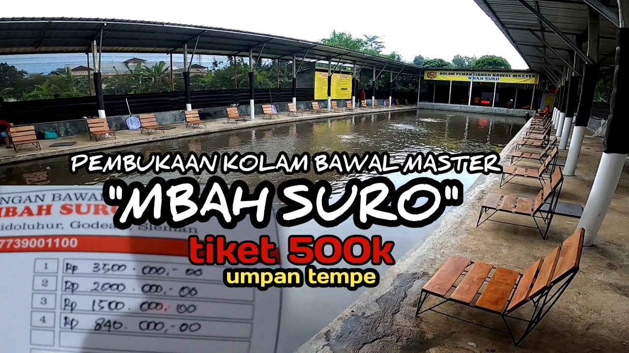 Tempe giling bikin bawal guling guling , GRAND OPENING KOLAM BARU‼️