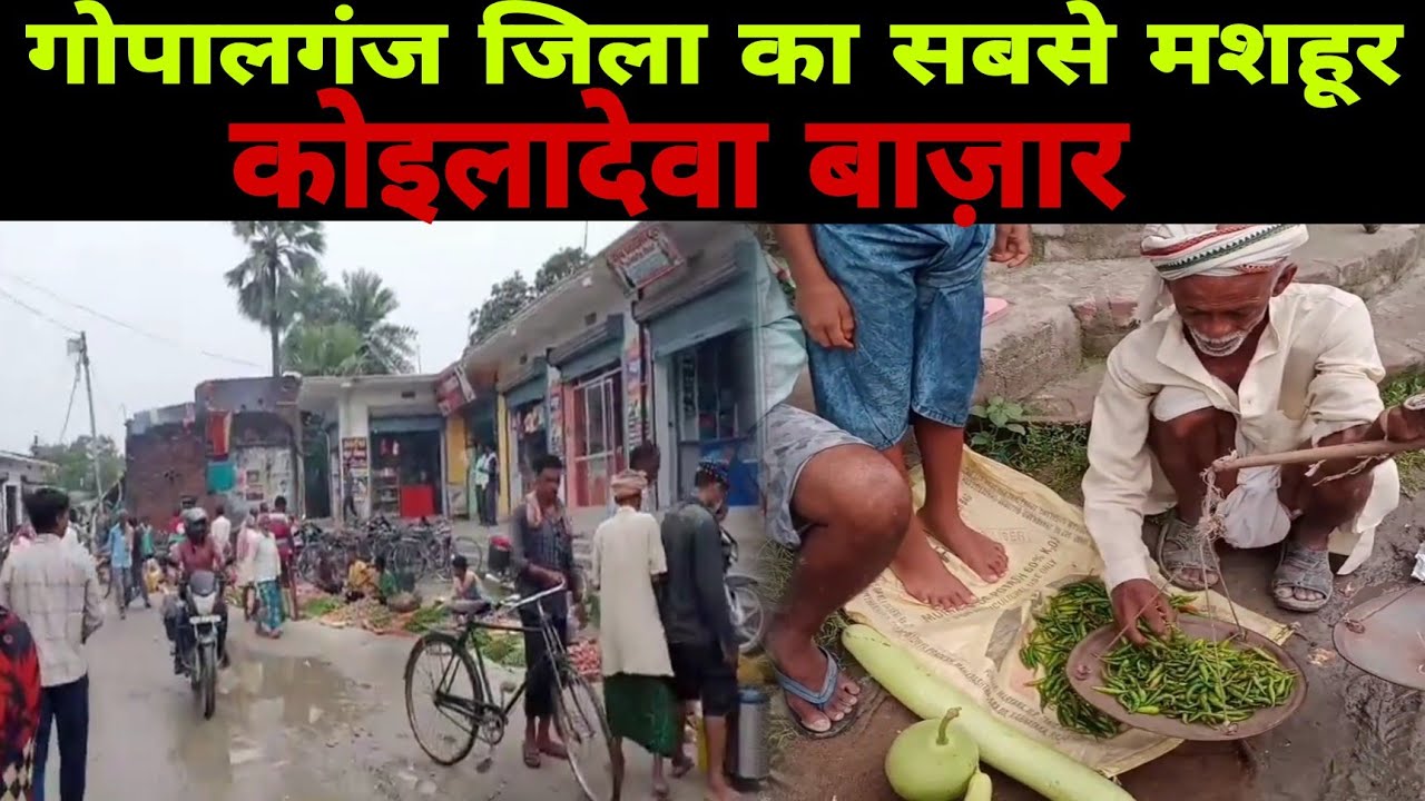 कोइलाडेवा बाजार का वीडियो | Koiladeva Bazar Gopalganj 