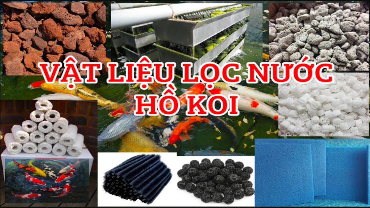 Vật liệu lọc không thể thiếu cho hồ KOI | Indispensable filter material for pond KOI