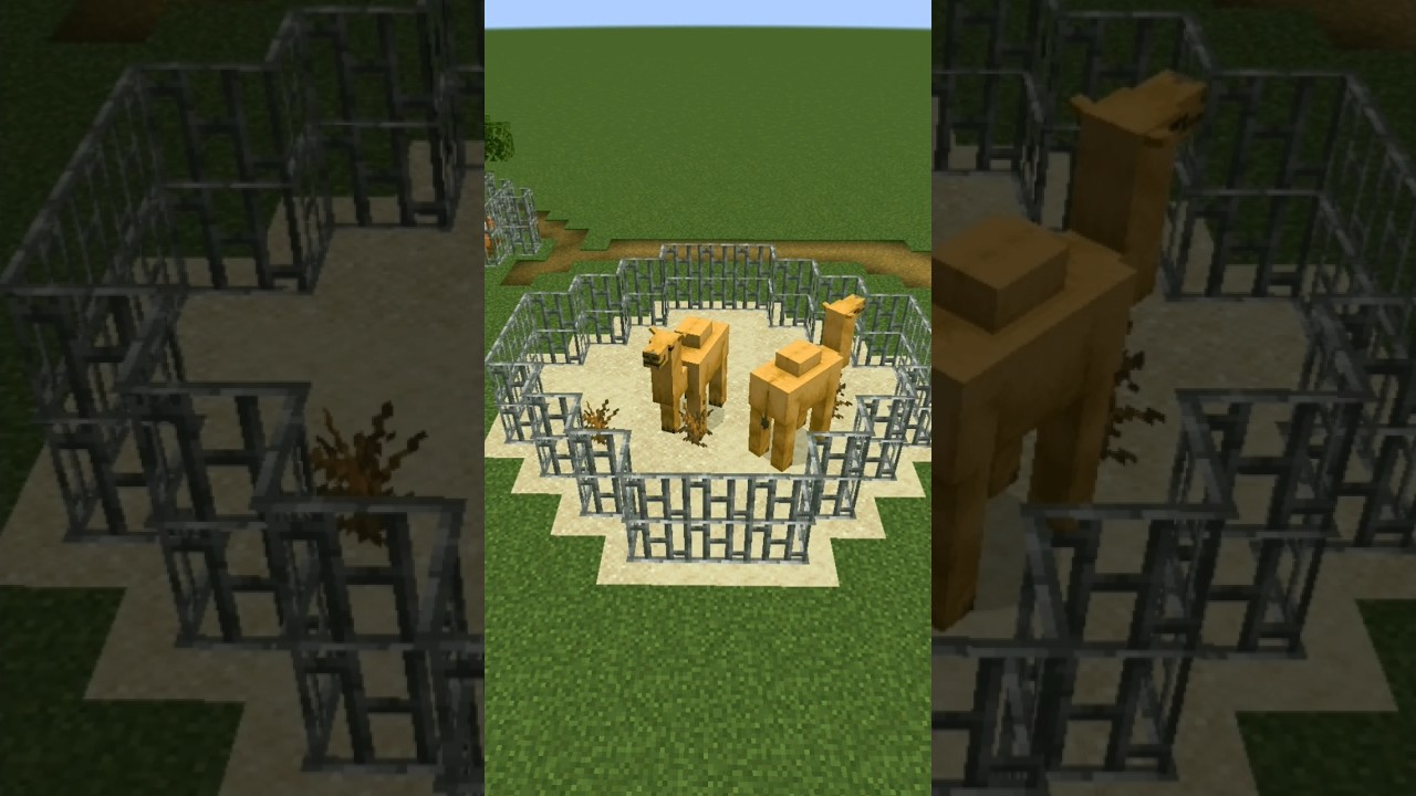 Minecraft Zoo 🦁 | #minecraft #tutorial #shorts #zoo