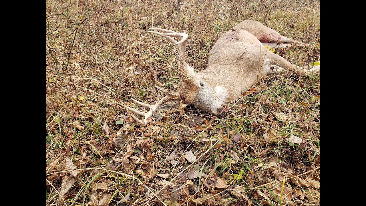 First Season Illinois Shotgun Deer 2023