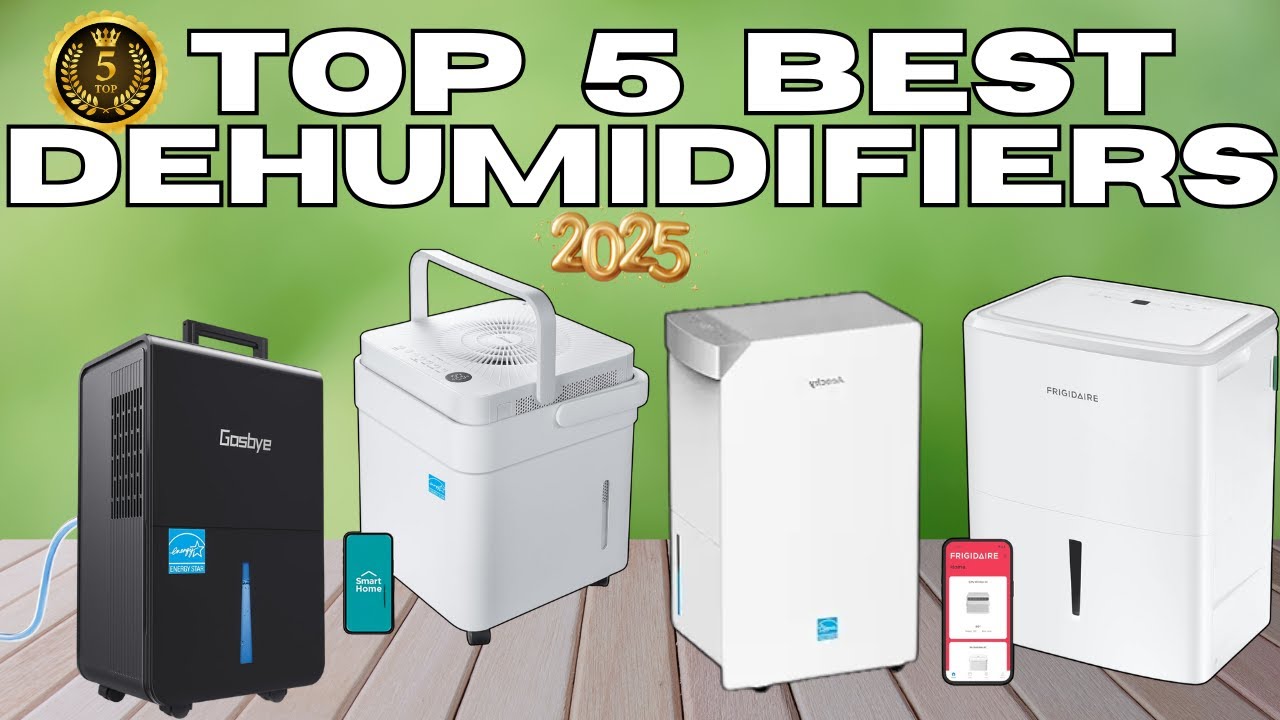 Top 5 Dehumidifiers 🏡 2025 Buyer&rsquo;s Guide