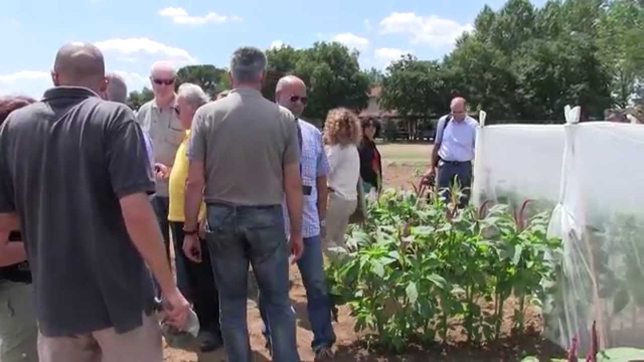 Superfood in Tuscany