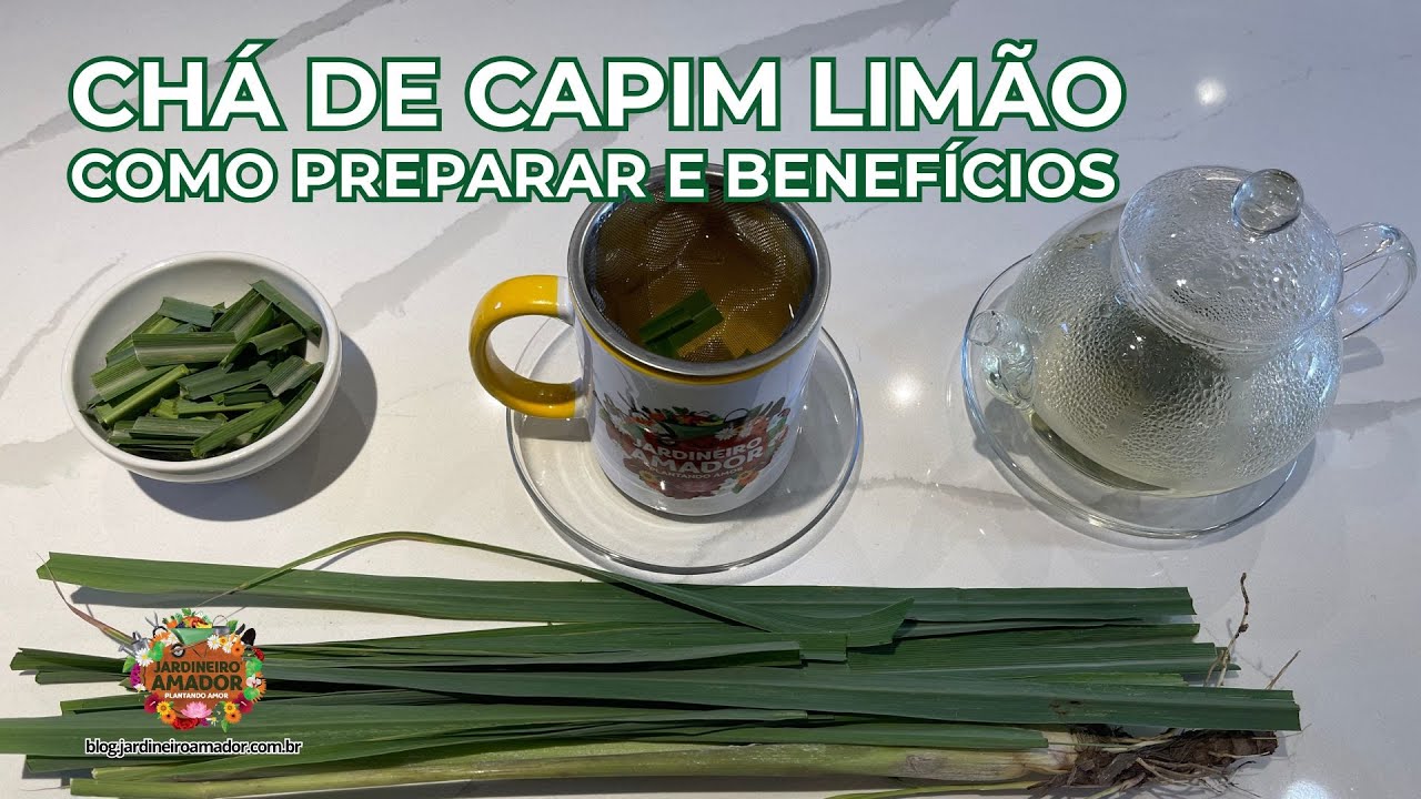 Ch&aacute; de Capim Lim&atilde;o | Como Preparar e Quais os Benef&iacute;cios