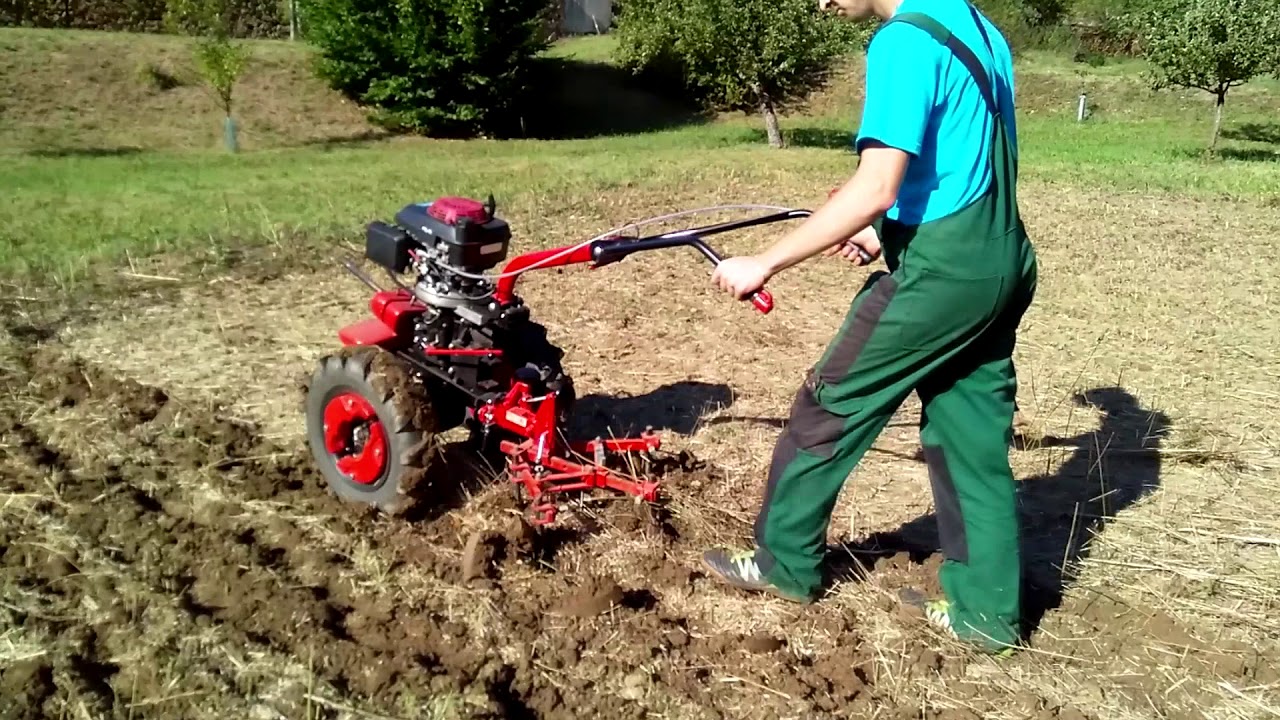 Mulčování a podmítání hořčice s VARI