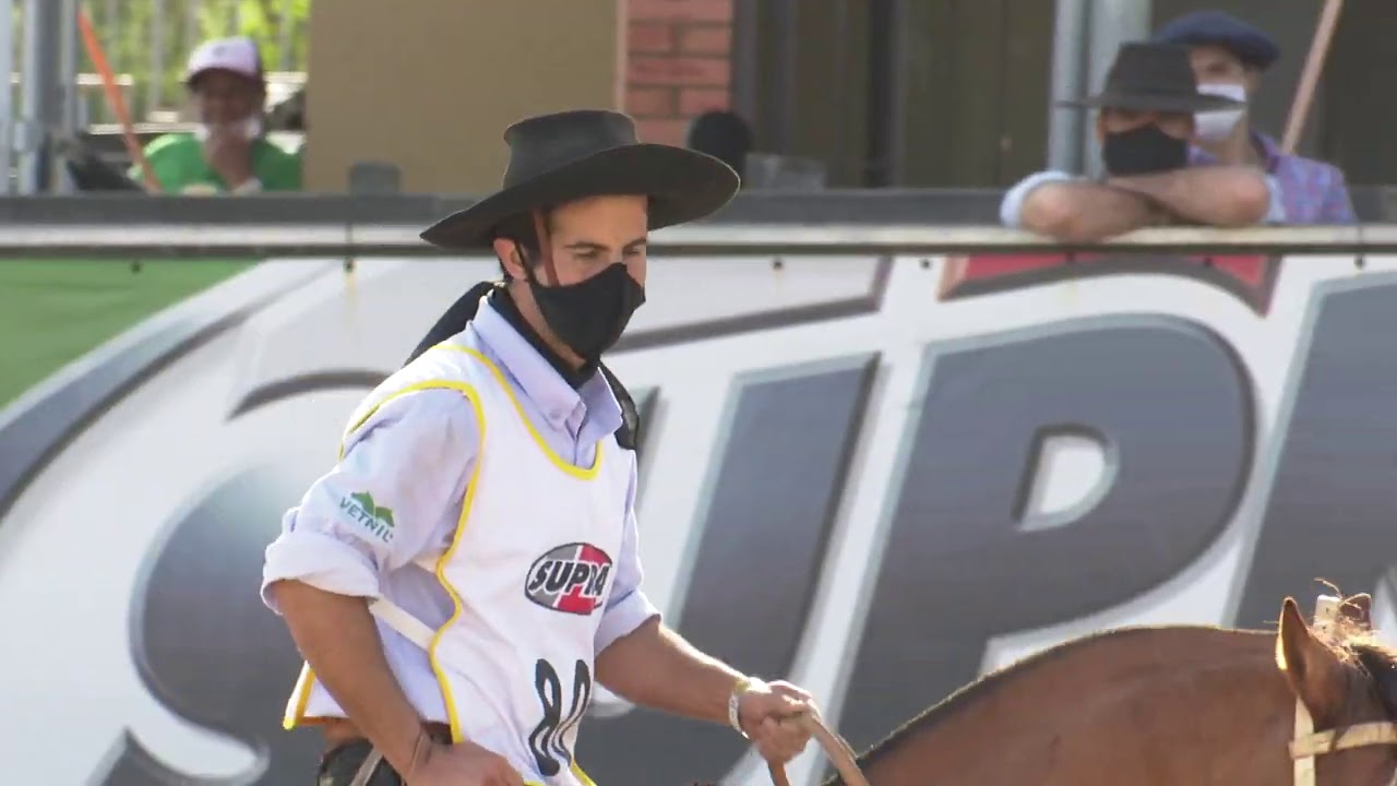 Don Pocho El Caudillo - Freio de Alpaca e Craque Funcional do Freio de Ouro 2020