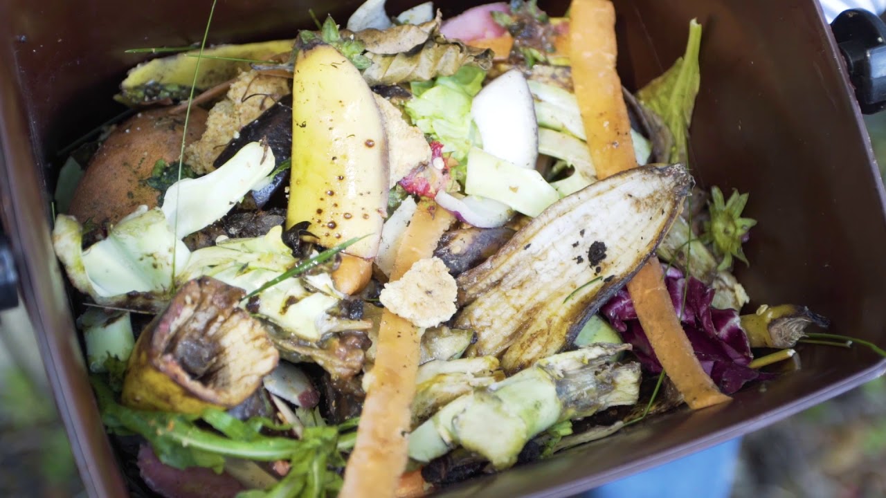 Guide to Composting at Home