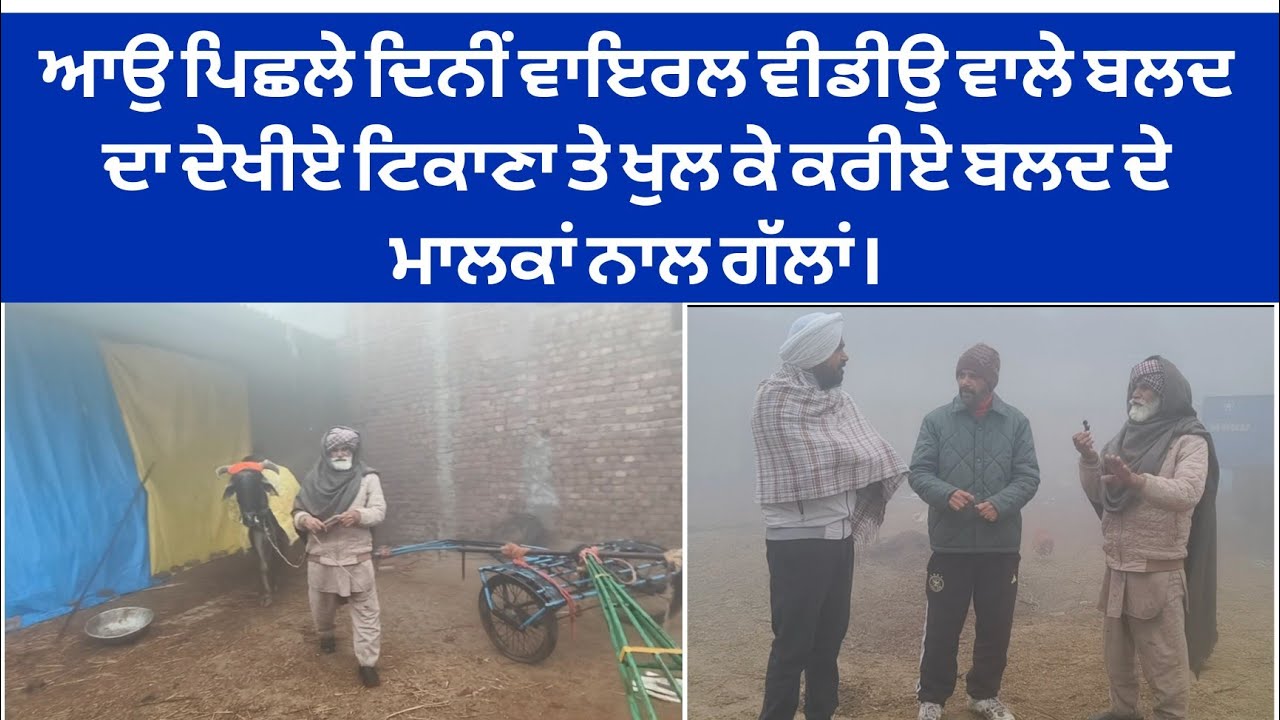 ਆਉ ਦੇਖੀਏ ਵਾਇਰਲ ਵੀਡੀਓ ਵਾਲੇ ਬਲਦ ਦਾ ਟਿਕਾਣਾ ਤੇ ਮਿਲੀਏ ਉਸਦੇ ਮਾਲਕਾਂ ਨੂੰ।