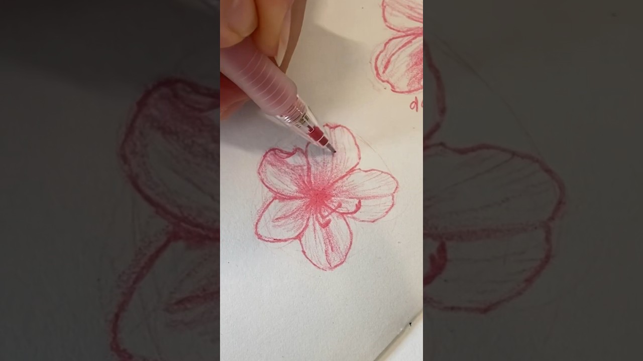 Drawing an azalea flower #drawingflowers #botanicalart #pencildrawing #pencilsketch #floraart