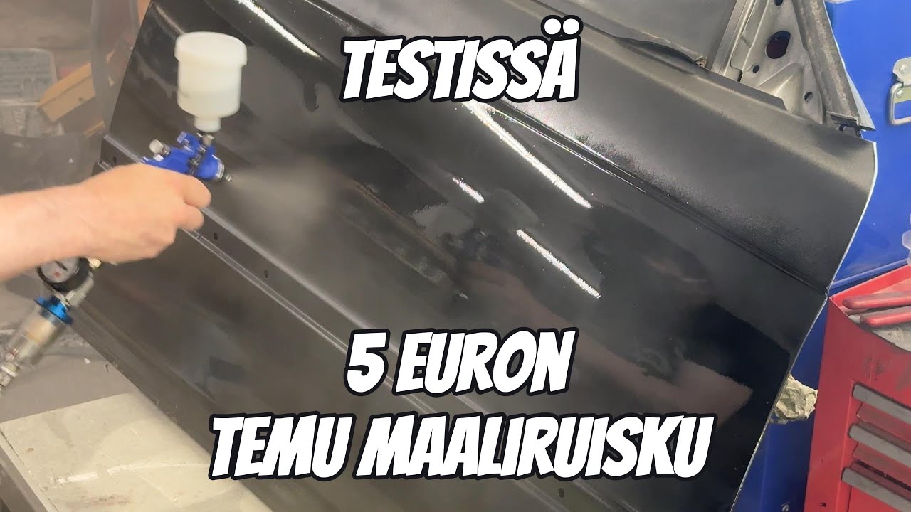 5€ Temu maaliruisku testissä - ONKO HYVA vai heitetäänkö tällä suoraa vesilintua
