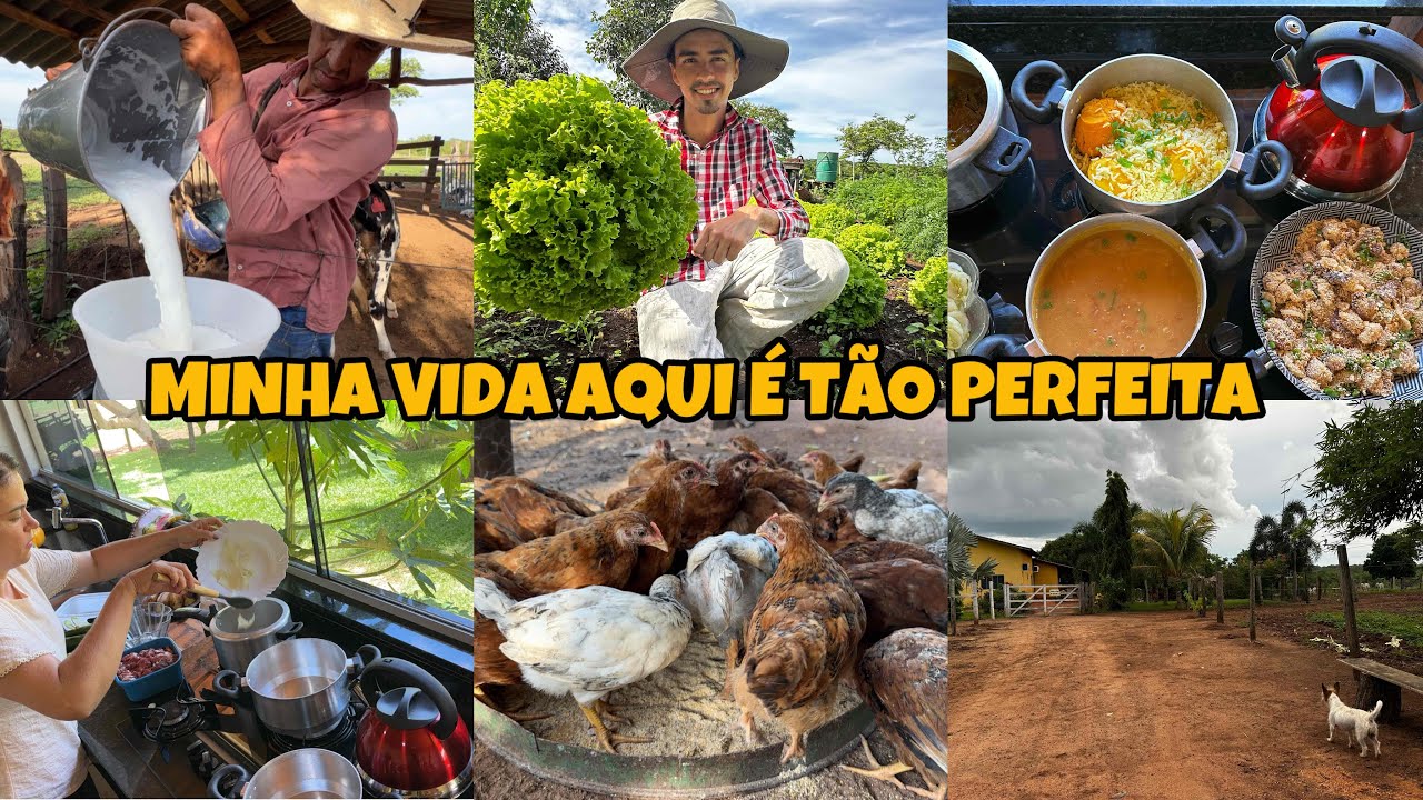 Como é bom voltar pra casa 🏠 como é bom estar em casa, como é bom viver na roça 