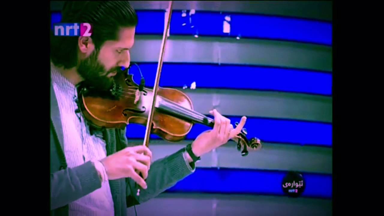 halo gharib . abasi kamandi