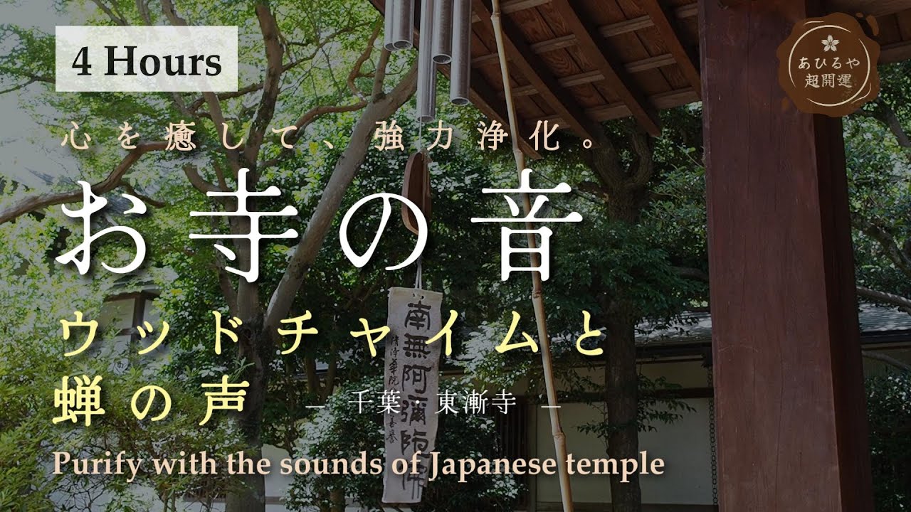 【浄化】お寺のウッドチャイム×蝉の声で心を癒す4時間 | 東漸寺 | Cleansing Sounds – 4 Hours of Temple Nature & Chimes🐤