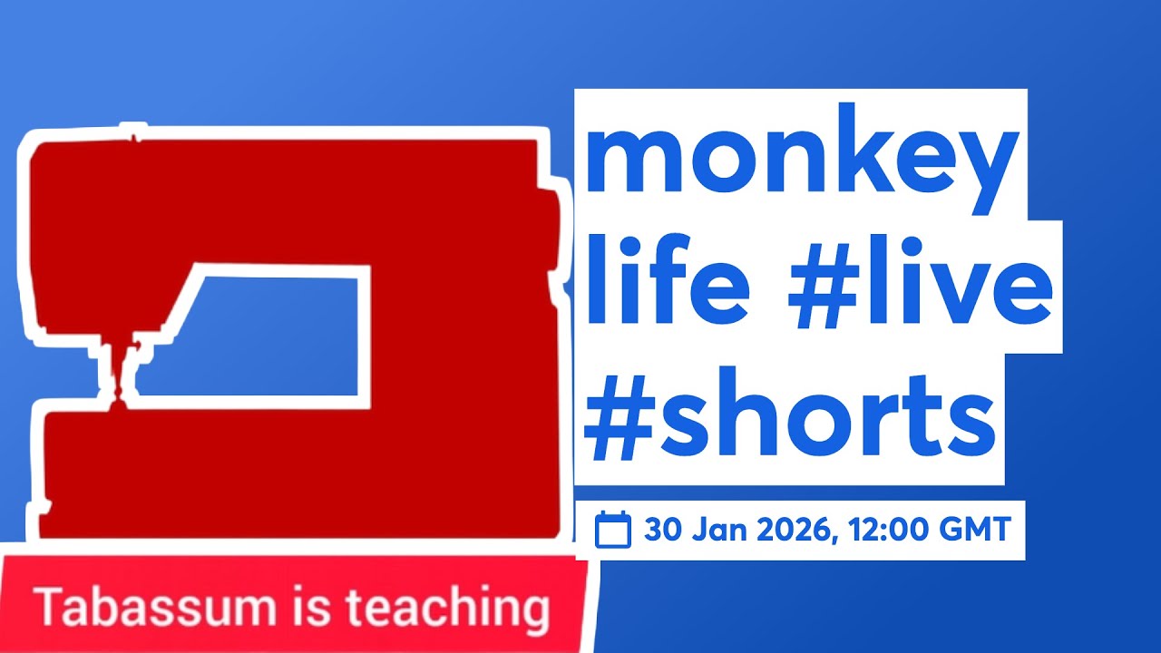 monkey life 