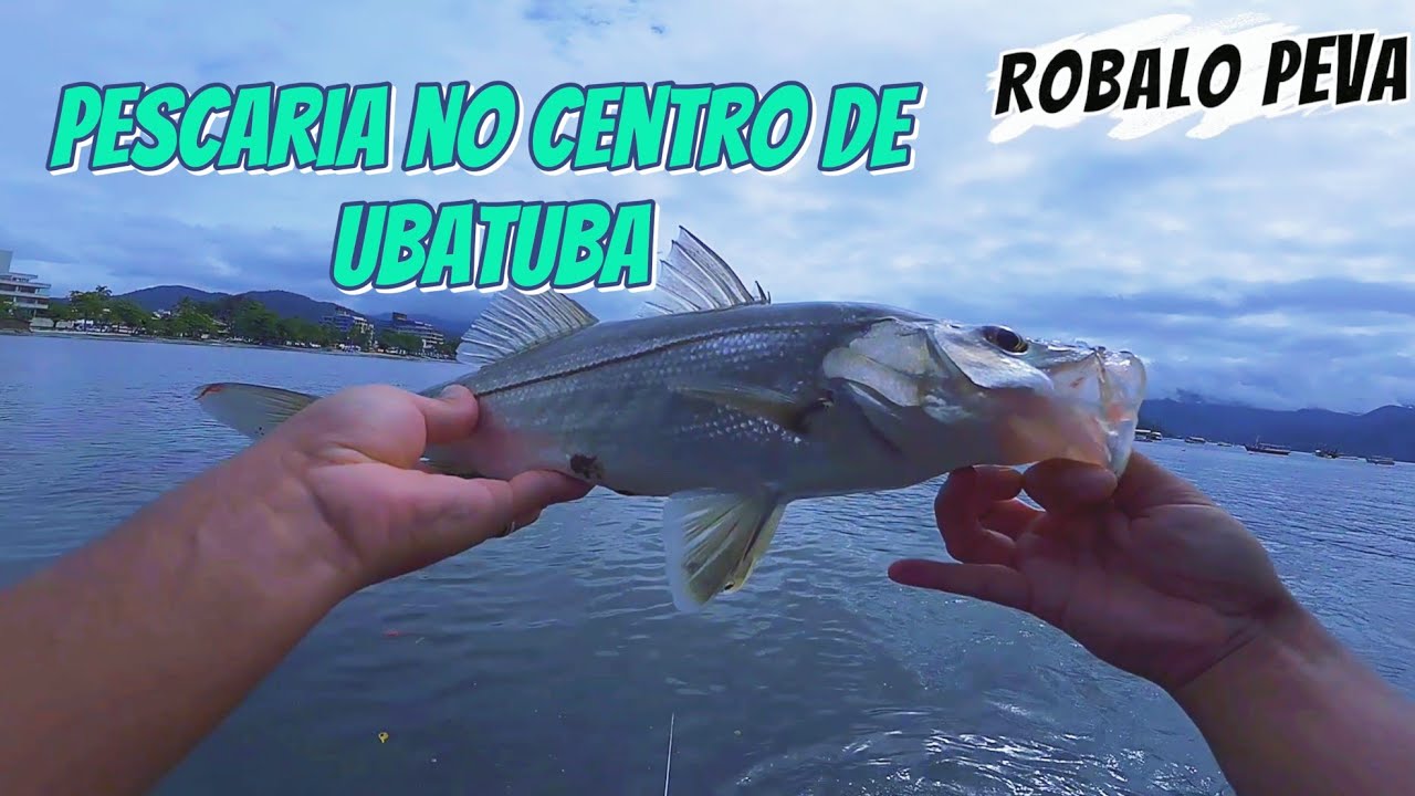 PESCARIA NO CENTRO DE UBATUBA - MUITAS ESPÉCIES NA LINHA