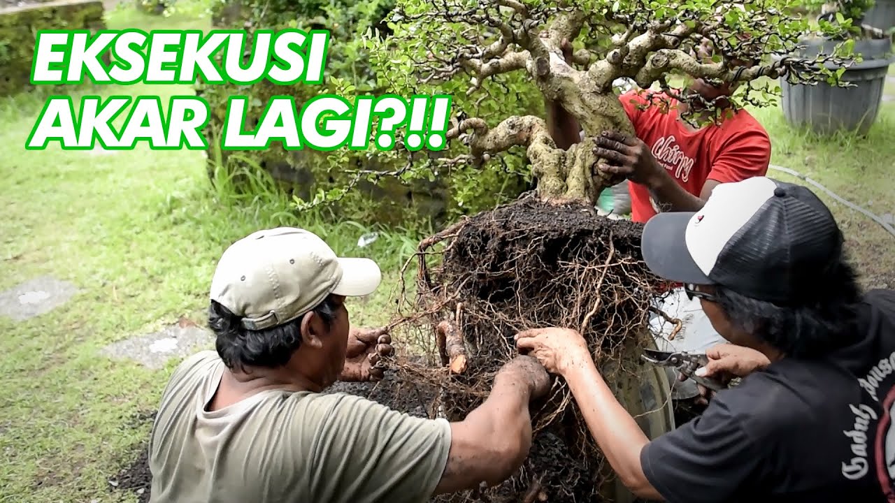 Nominalnya Naik Kalau Sudah begini | Hokianti Naik Pot