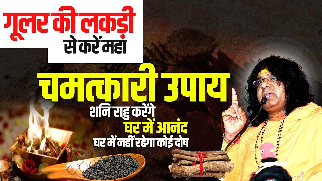 गूलर की लकड़ी से करें महा चमत्कारी उपाय, शनि राहु करेंगे घर में आनंद, घर में नहीं रहेगा कोई दोष