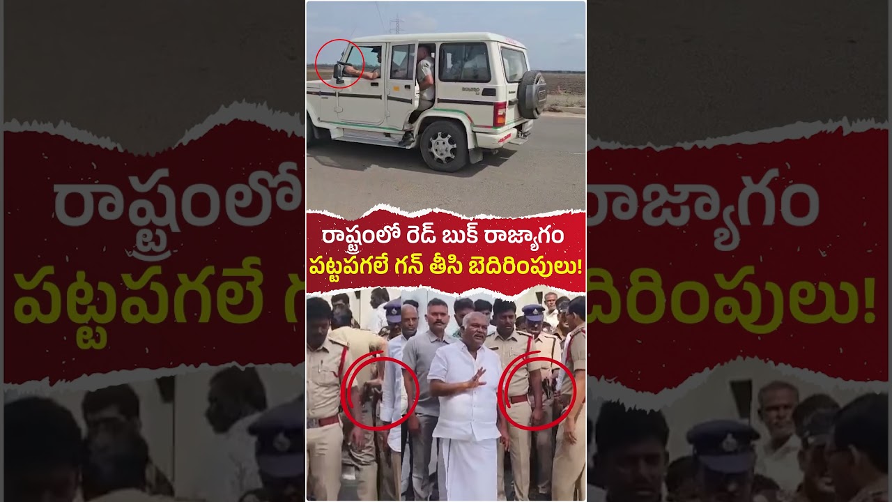 తాడిపత్రిలో పట్టపగలే తుపాకీతో వైసీపీ కార్యకర్తలును బెదిరిస్తున్న పోలీసులు! #andhrapradesh #politics