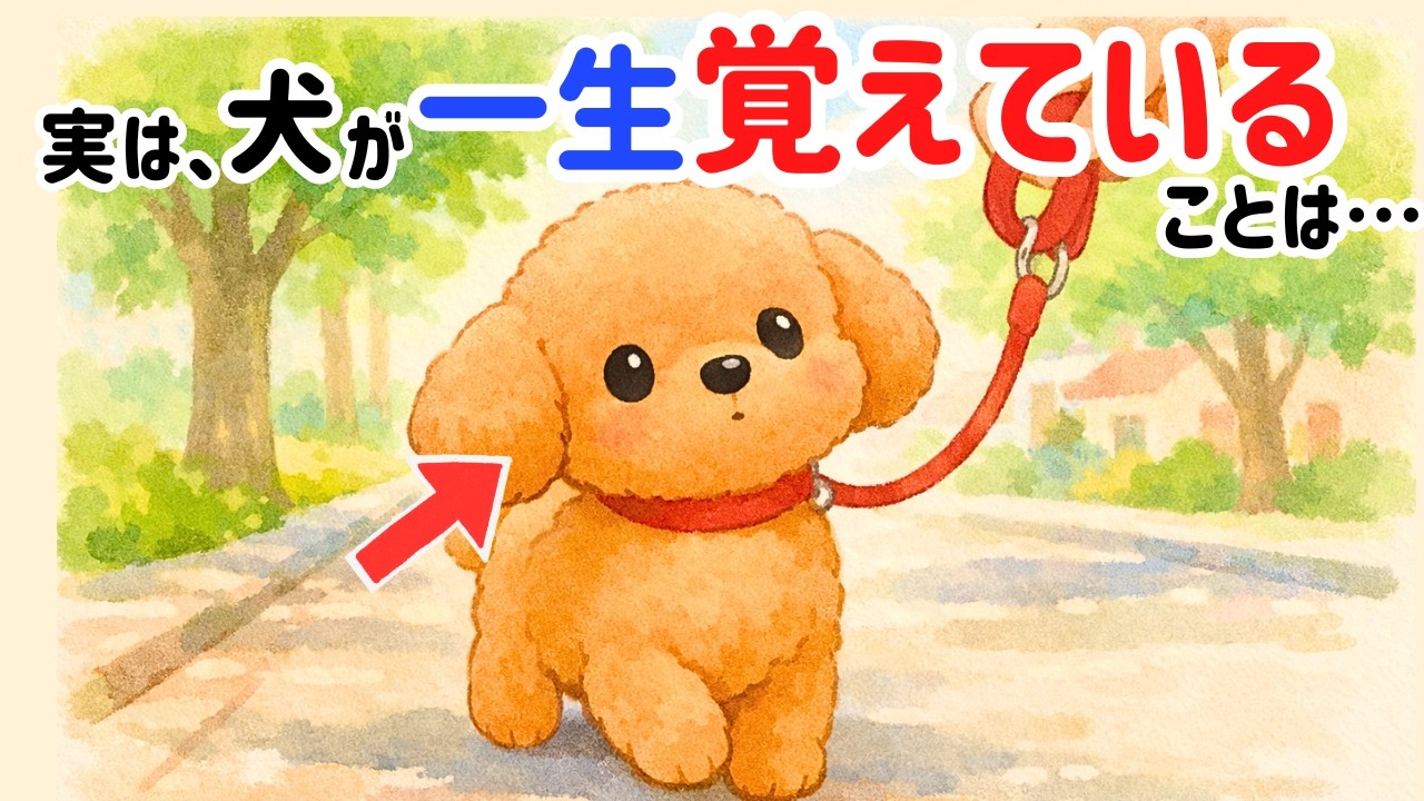 実はコレ、犬は一生忘れません｜あなたとの記憶【犬雑学】