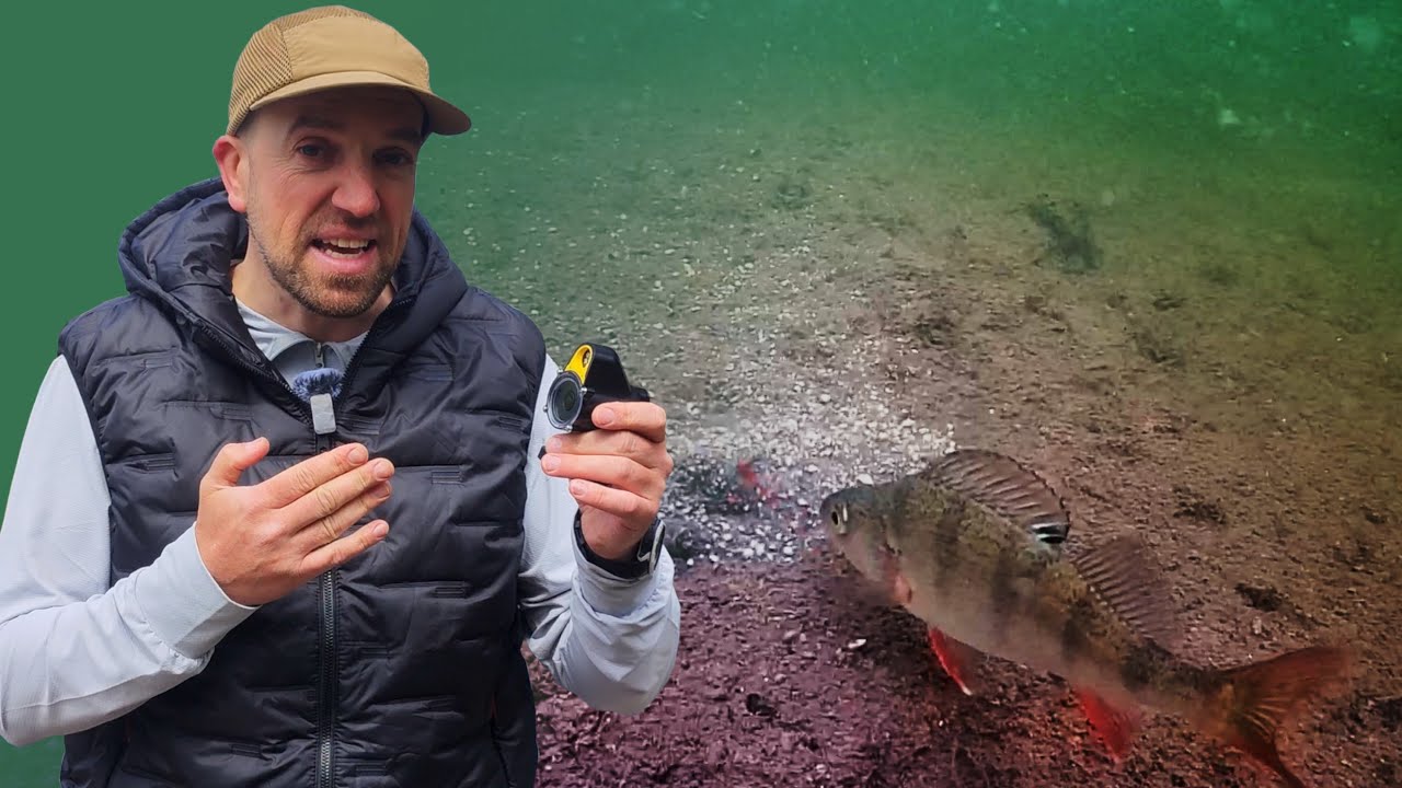 Filming fish is easy! Underwater camera Chasing CanFish CF1 tested