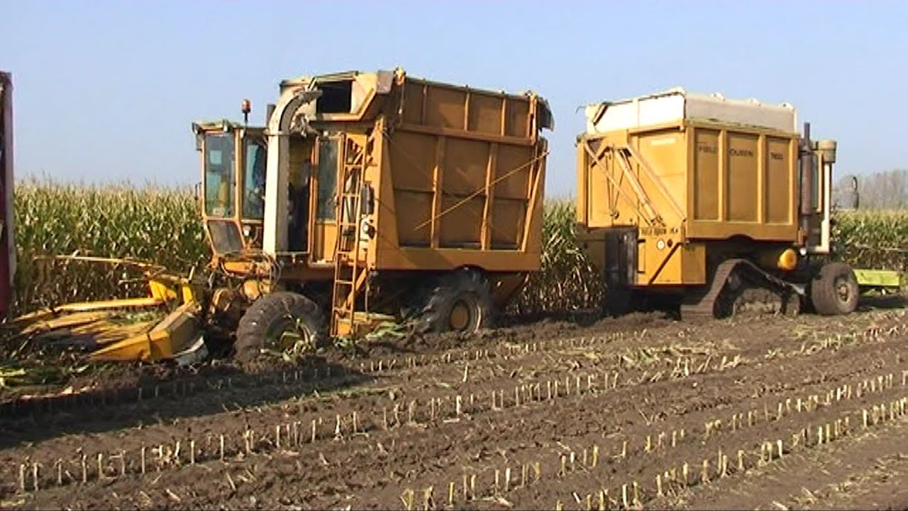 Maïs 2008   1 Heston Field Queen 7655 op rupsen moet een Field Queen op banden eruit trekken!!
