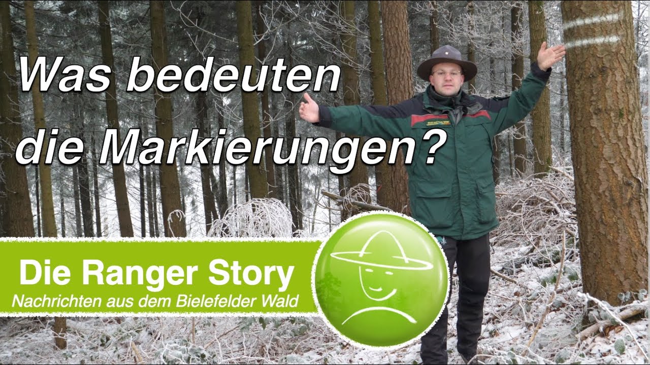 Was bedeuten die Markierungen?