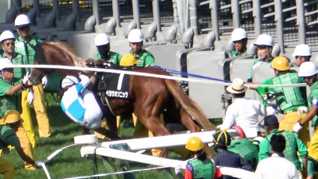 【クローバー賞2025】未勝利からのOP勝利‼ストームサンダー‼ 現地映像 ①ベラジオソニックはゲート入りから逃げ出す‼
