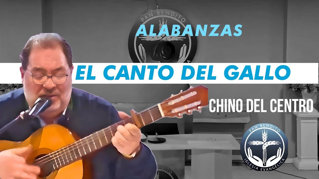🎶HERMANO CHINO | EL CANTO DEL GAYO | ALAVANZA