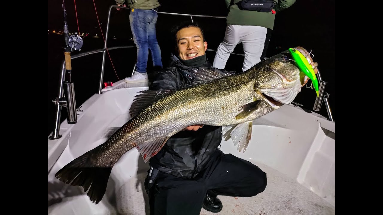 The beginning of Sexy Fish