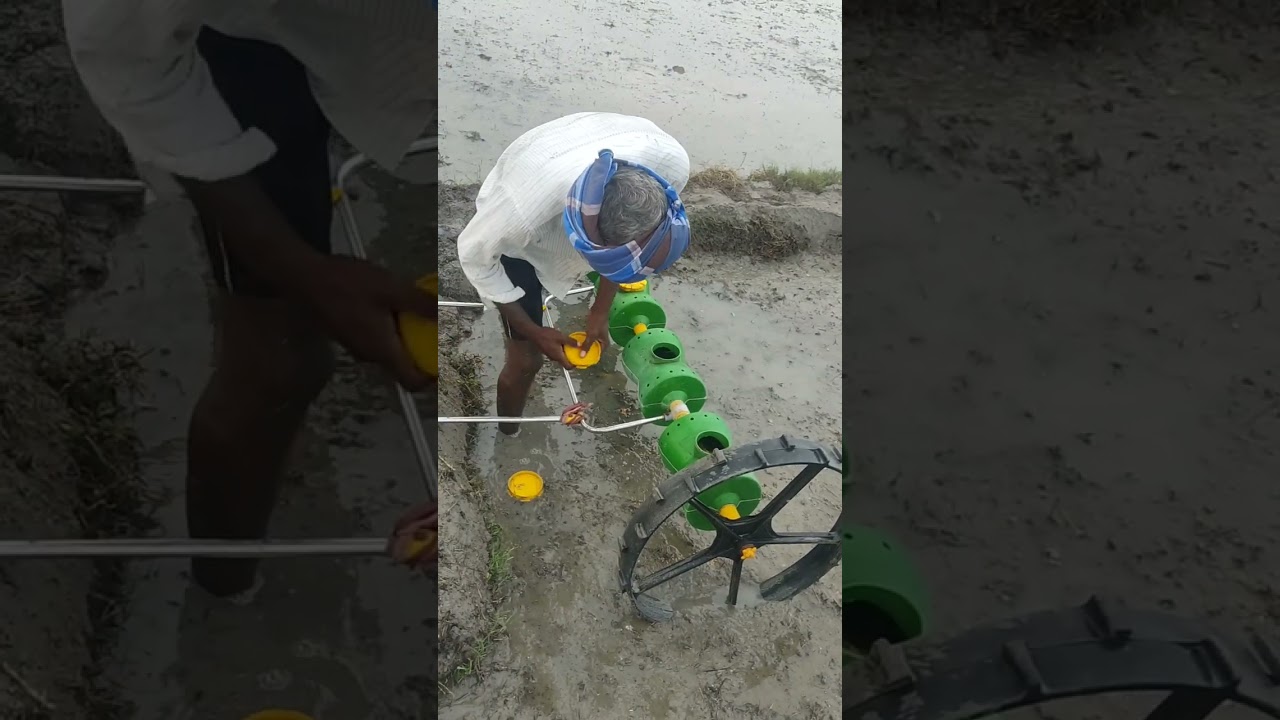 Paddy seed sowing hand-operated machine used in agriculture.