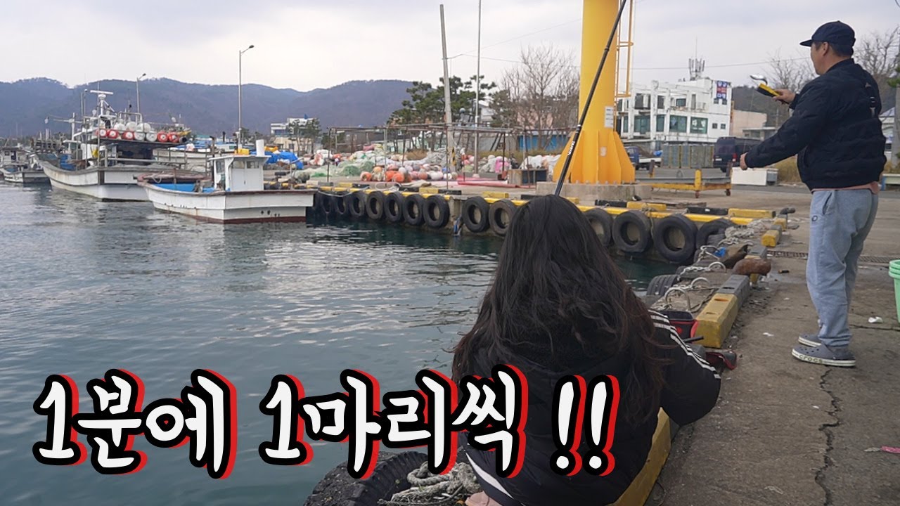 동해바다 발밑에서 막 잡힌다!! 고기 빼느라 앉을 시간도 없네요...