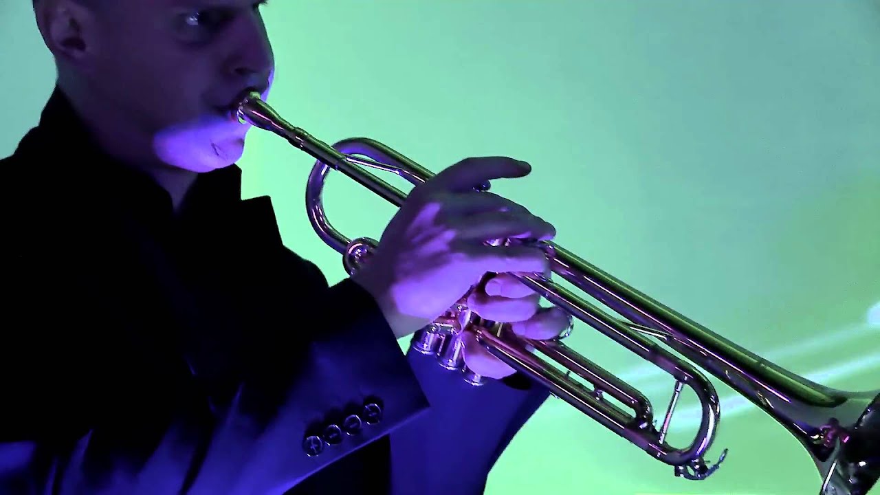 Fractal Tree - Lullaby Terror | International Music Day 2015 @ Philharmonic in Szczecin