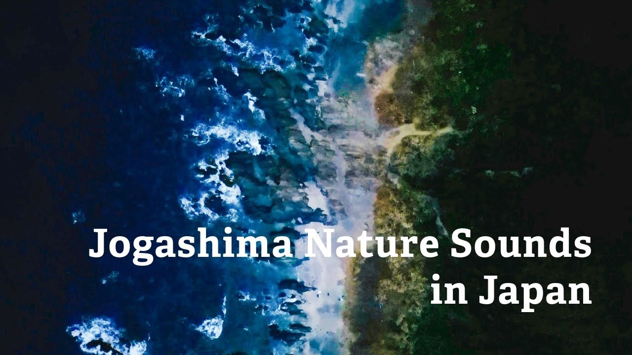 Natural Ocean Sounds for Focus – Jogashima, Japan (30 Minutes)