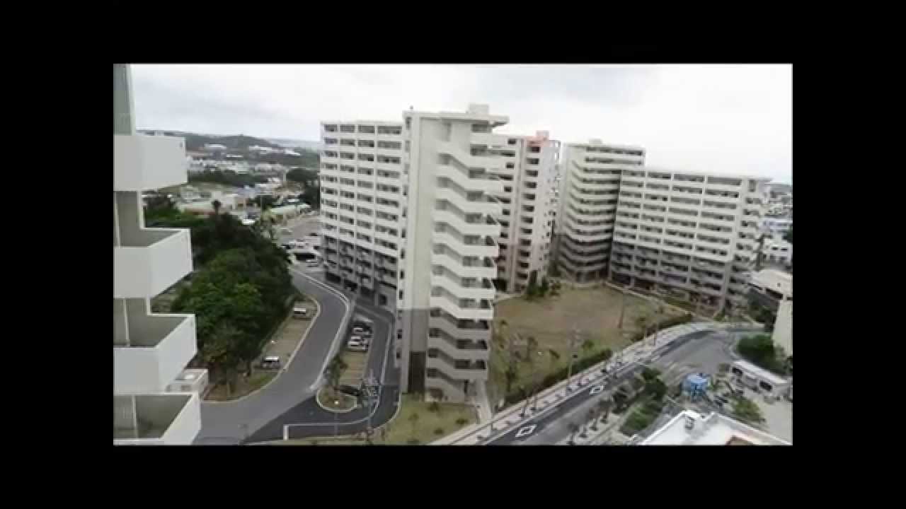 宇栄原団地の新6棟より望む