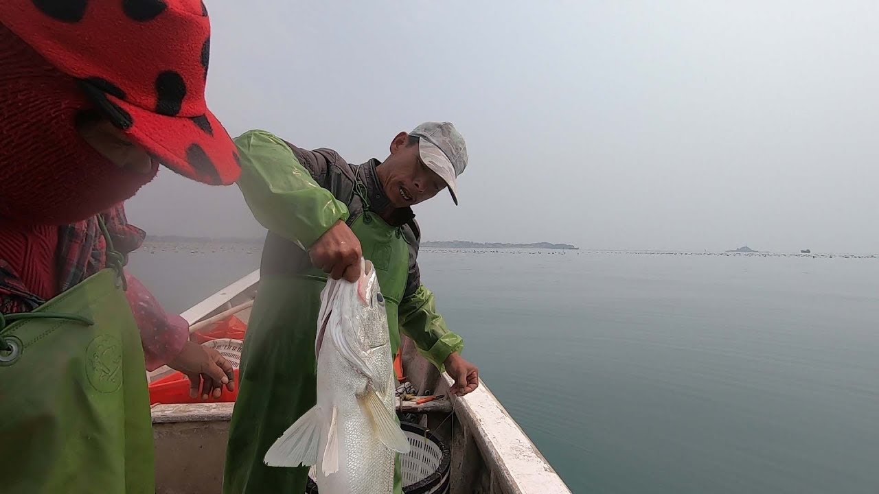 阿雄想着法抓大货，首次拿到海上实验就逮住大家伙，这货可值钱了