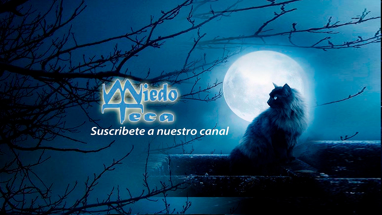 LA MIEDOTECA ... DONDE SE REUNEN LOS PELUDOMANIACOS #029