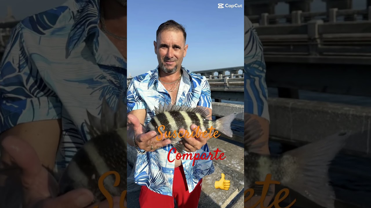#fishing