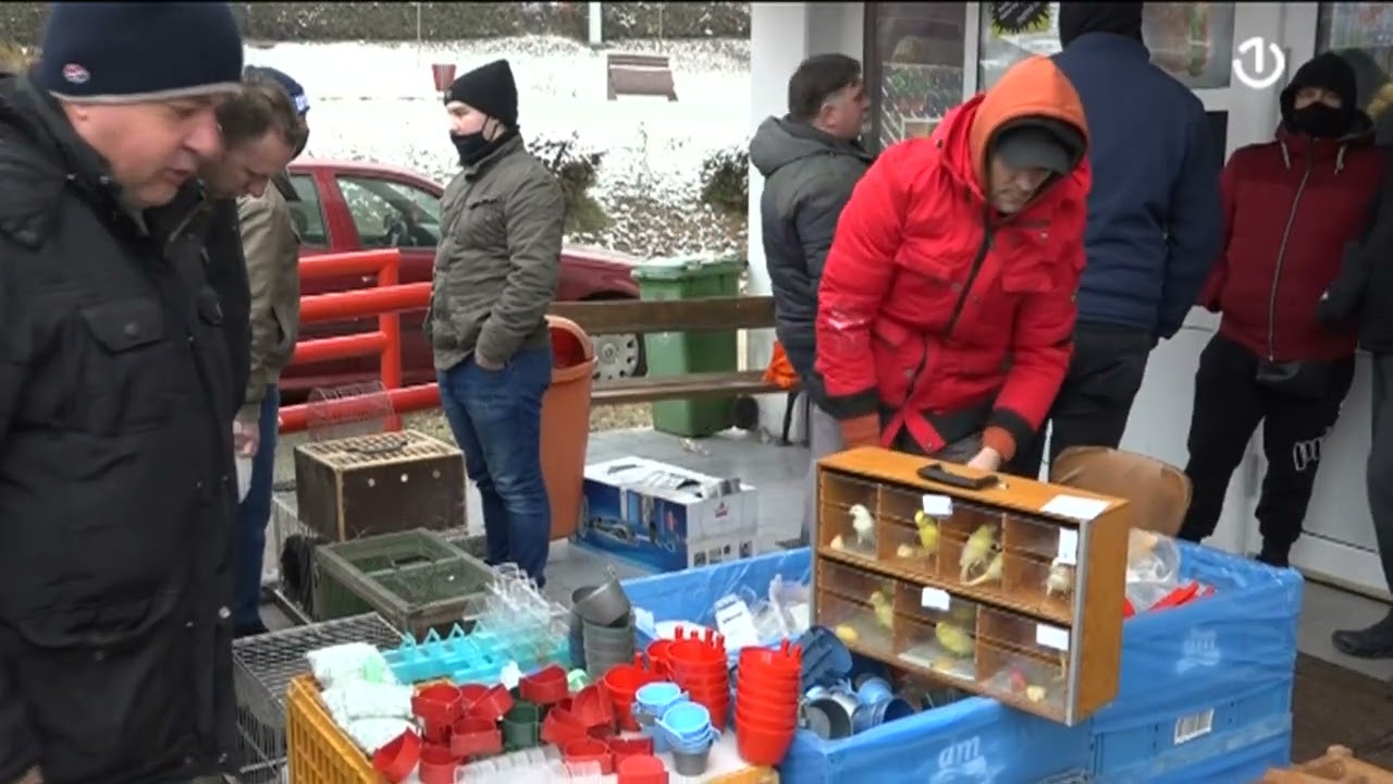 Gost BHT1 Uživo bio je Edin Jabandžić, predsjednik Udruge za zaštitu i uzgoj sitnih životinja Tešanj