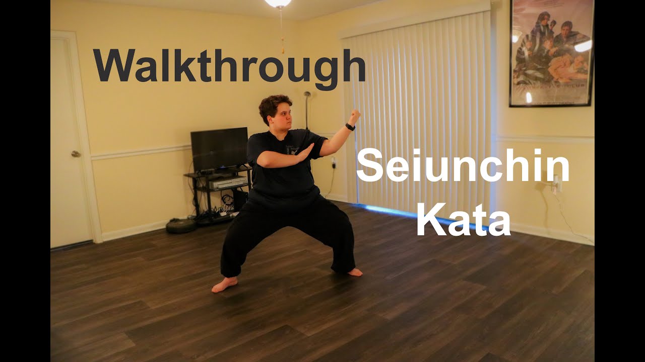 Walkthrough: Seiunchin Kata