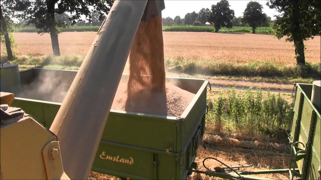 New Holland TX32 im Getreide |Deutz -DX- Power| (GoPro) [FullHD]