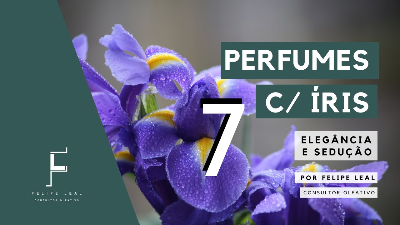 7 PERFUMES COM ÍRIS / ELEGÂNCIA E SEDUÇÃO PARA O HOMEM