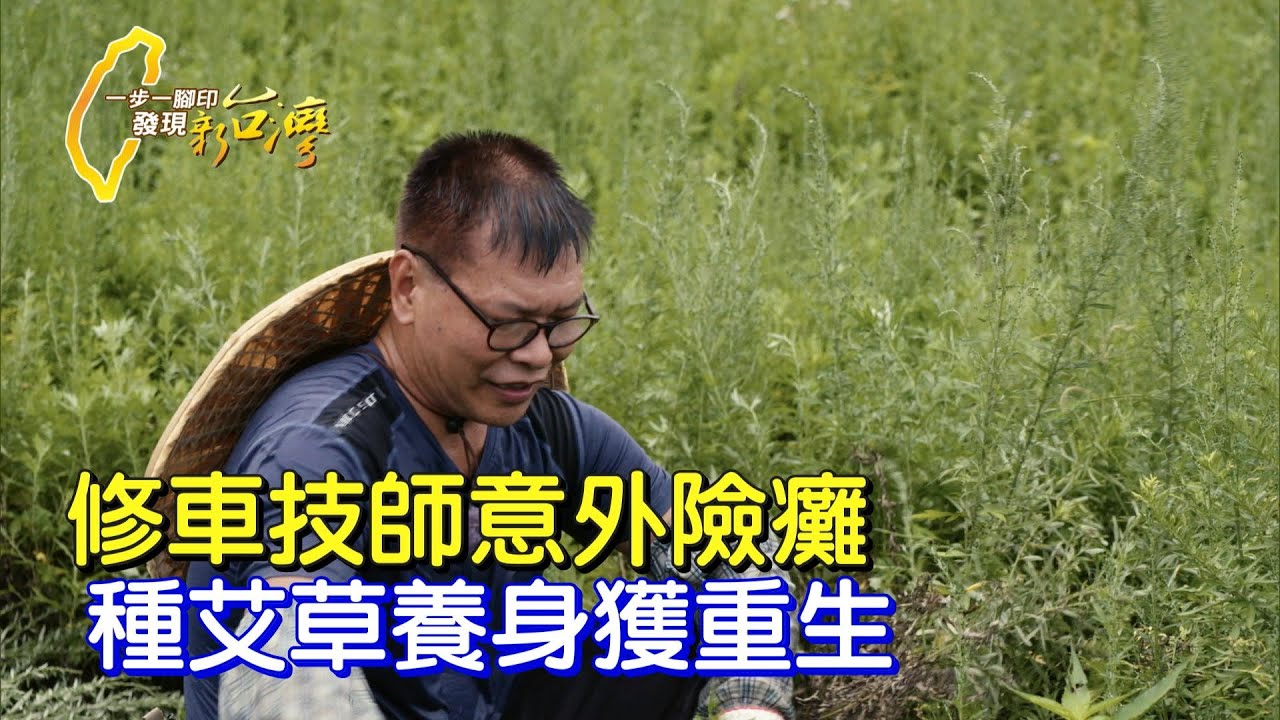 【南投】用心堅持不怕難!修車師脊椎傷後鑽研艾草 重拾健康自信∣一步一腳印【艾草園裡站立重生】20210919