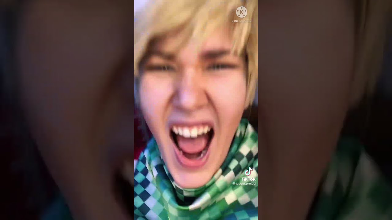 MCYT Tiktok Compilations || MCYT Tiktok #63