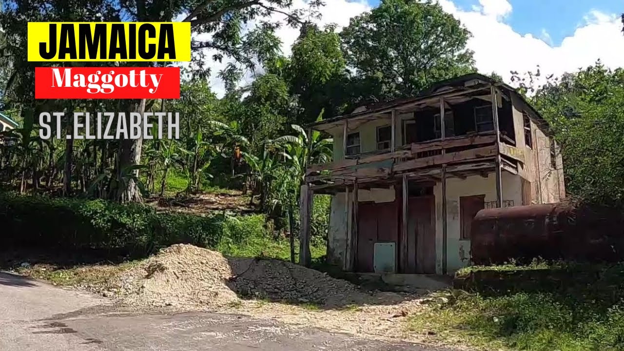 JAMAICA TOUR MAGGOTTY | RETIREMENT | CEDER SPRING | ST.ELIZABETH