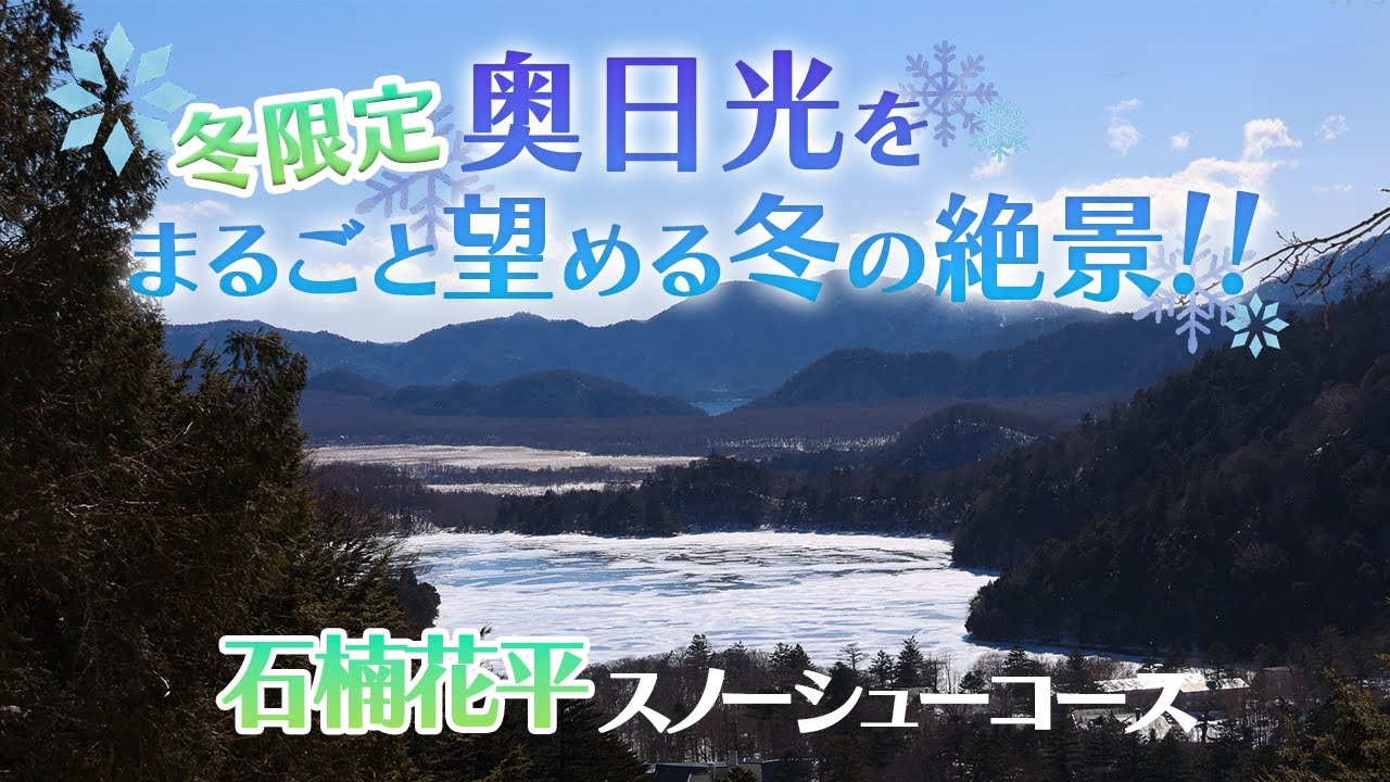 【冬限定】奥日光をまるごと望める絶景！？〈2026年2月3日〉【奥日光自然情報】