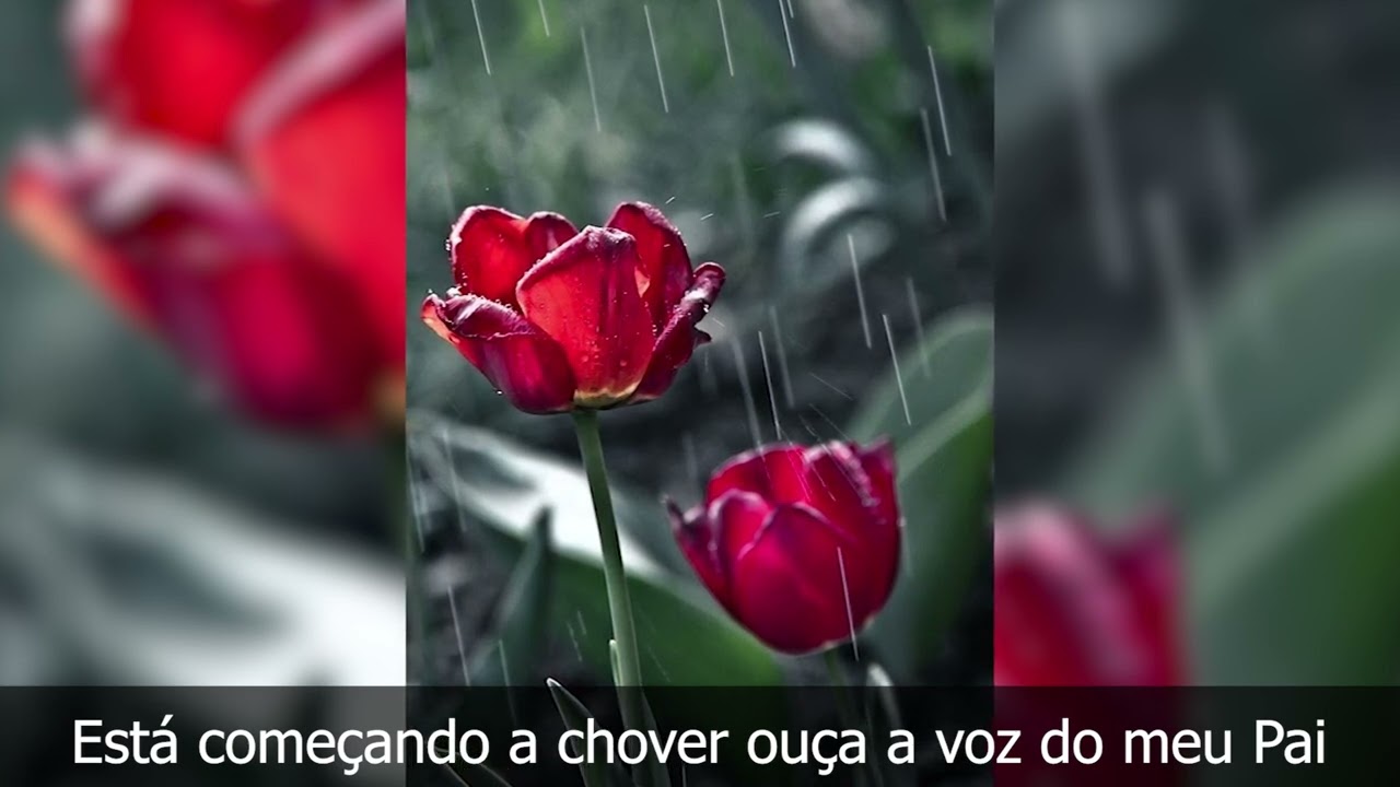It’s Beginning To Rain - Está Começando a Chover / Jimmy Swaggart (Legendado)