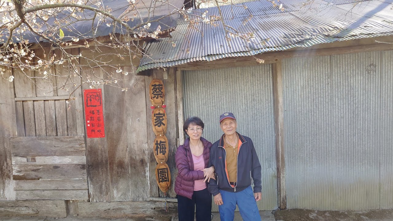 20260125_南投信義-蔡家梅園+千歲吊橋+水里-水里牛肉大王