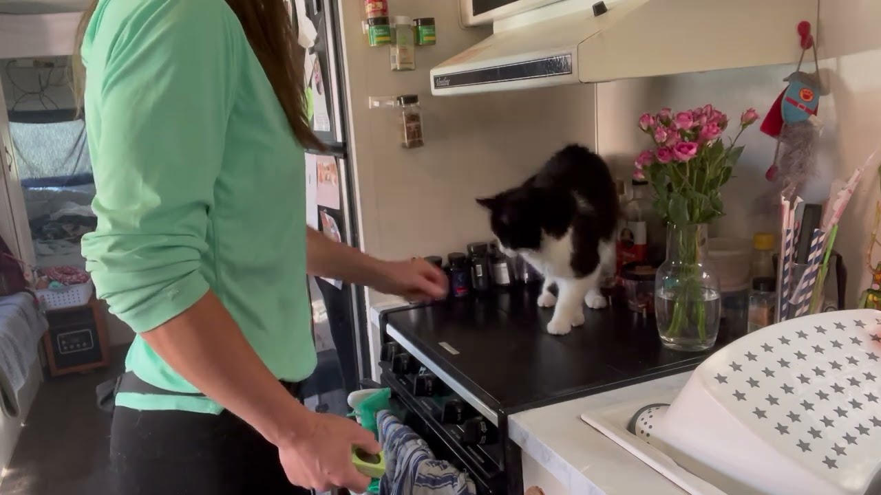 Capturing other species -4.0- Sophie and Sarah