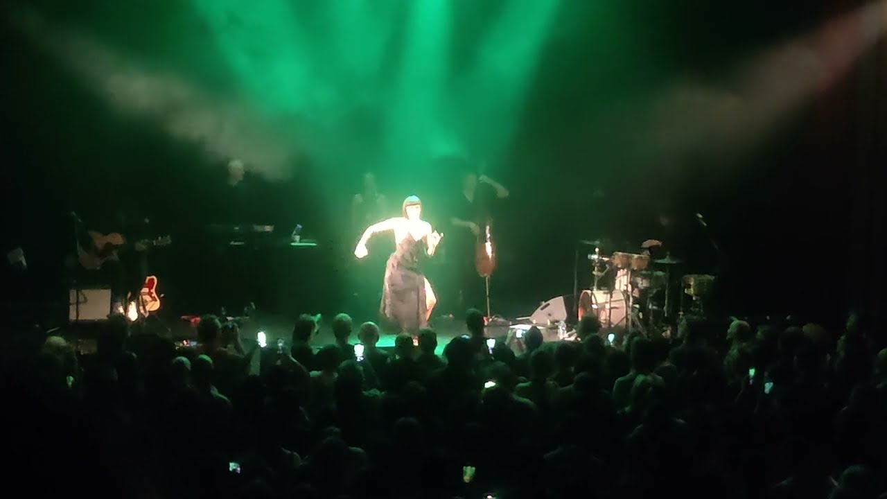 Nouvelle Vague - A forest