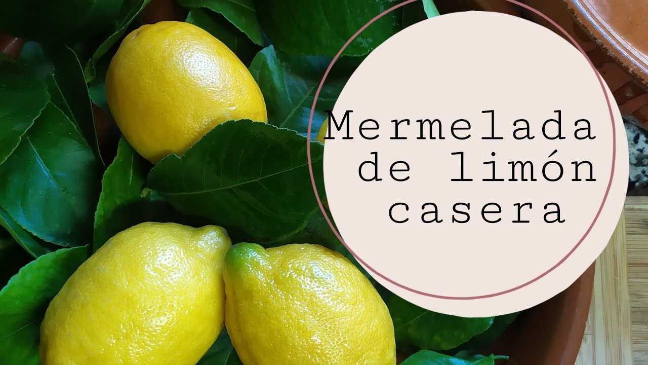 🟠MERMELADA de Limón CASERSA. Limom jam. 리맘 잼 . marmellata di limom